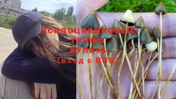 винт Балахна